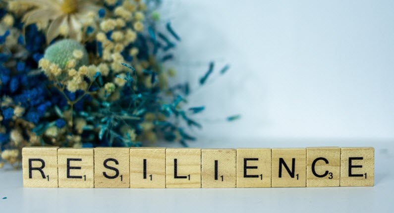 How to Build Resilience to Thrive Personally and Professionally